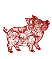 pig
